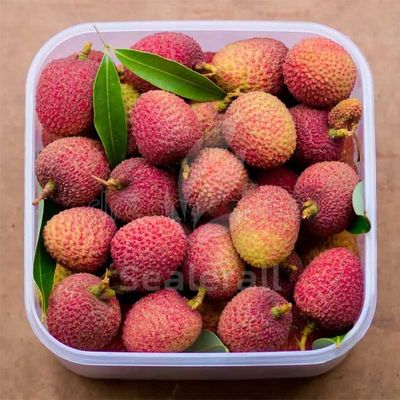 Beli Mesin Kemasan Atmosfer yang Dimodifikasi Baja Rostless Untuk Litchi Segar pembuatan online